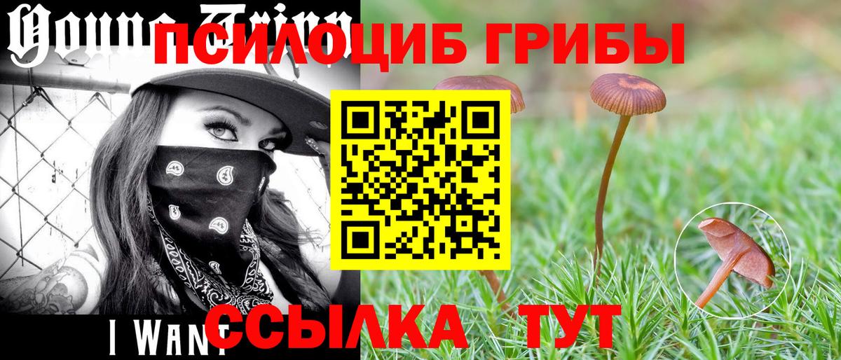 Галлюциногенные грибы Cubensis  Галлюциногенные грибы MAGIC MUSHROOMS  Коряжма  Вход с VPN 