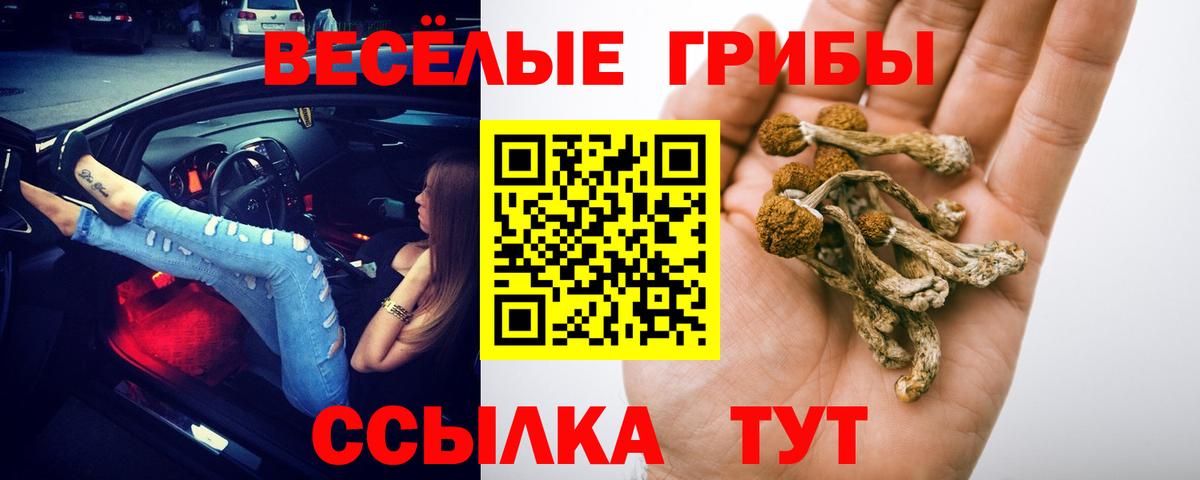 Галлюциногенные грибы мухоморы Коряжма